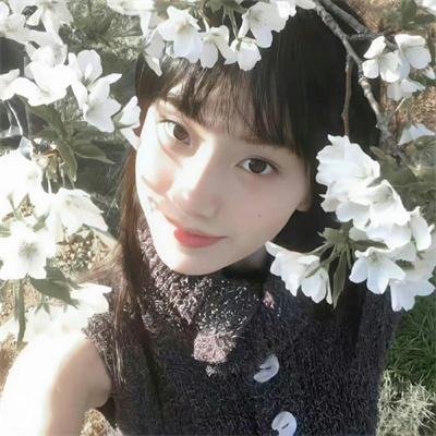 北极世界末日
