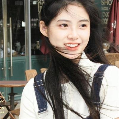 企鹅之岛：福克兰